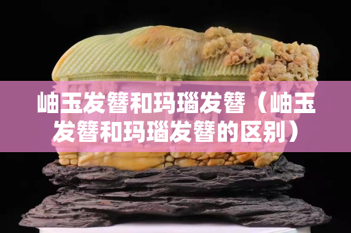 岫玉發(fā)簪和瑪瑙發(fā)簪（岫玉發(fā)簪和瑪瑙發(fā)簪的區(qū)別）
