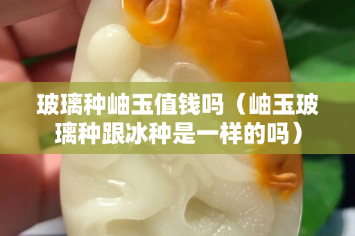 玻璃種岫玉值錢嗎（岫玉玻璃種跟冰種是一樣的嗎）