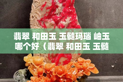 翡翠 和田玉 玉髓瑪瑙 岫玉哪個好（翡翠 和田玉 玉髓瑪瑙 岫玉哪個好一些）
