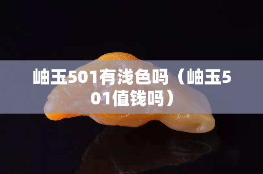 岫玉501有淺色嗎（岫玉501值錢嗎）