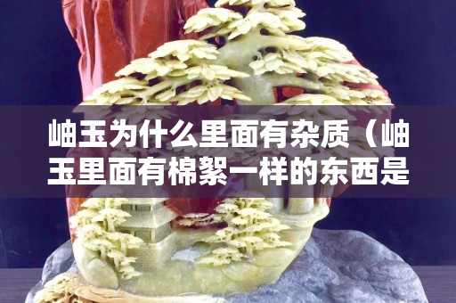 岫玉為什么里面有雜質(zhì)（岫玉里面有棉絮一樣的東西是好玉嗎）