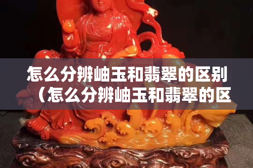 怎么分辨岫玉和翡翠的區別（怎么分辨岫玉和翡翠的區別視頻）