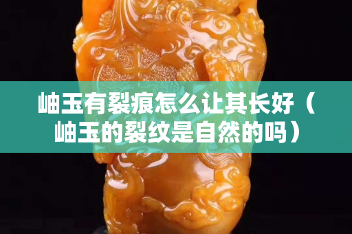 岫玉有裂痕怎么讓其長(zhǎng)好（岫玉的裂紋是自然的嗎）