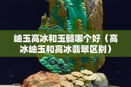 岫玉高冰和玉髓哪個好（高冰岫玉和高冰翡翠區別）