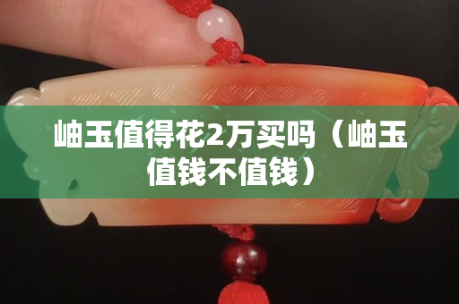 岫玉值得花2萬買嗎（岫玉值錢不值錢）