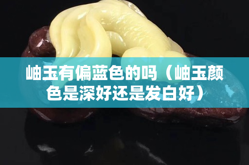 岫玉有偏藍色的嗎（岫玉顏色是深好還是發白好）