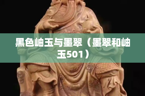 黑色岫玉與墨翠（墨翠和岫玉501）