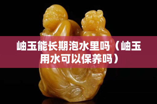 岫玉能長期泡水里嗎（岫玉用水可以保養(yǎng)嗎）
