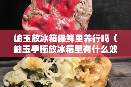 岫玉放冰箱保鮮里養(yǎng)行嗎（岫玉手鐲放冰箱里有什么效果？）