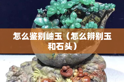 怎么鑒別岫玉（怎么辨別玉和石頭）