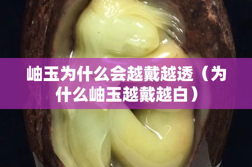 岫玉為什么會越戴越透（為什么岫玉越戴越白）