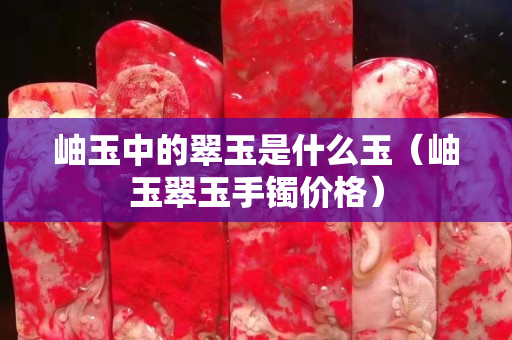 岫玉中的翠玉是什么玉（岫玉翠玉手鐲價格）