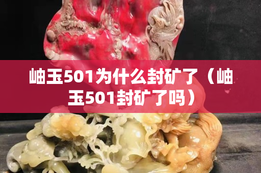 岫玉501為什么封礦了（岫玉501封礦了嗎）