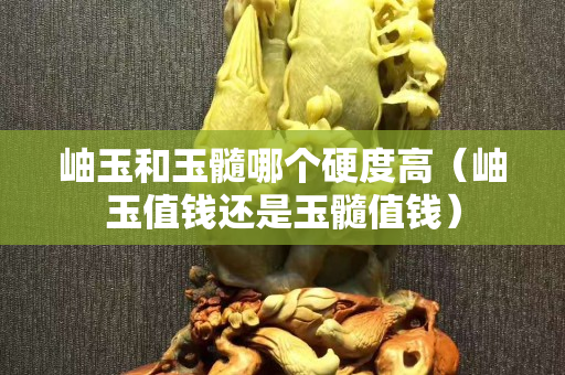 岫玉和玉髓哪個硬度高（岫玉值錢還是玉髓值錢）