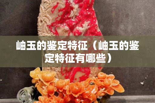 岫玉的鑒定特征（岫玉的鑒定特征有哪些）