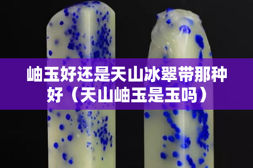 岫玉好還是天山冰翠帶那種好（天山岫玉是玉嗎）