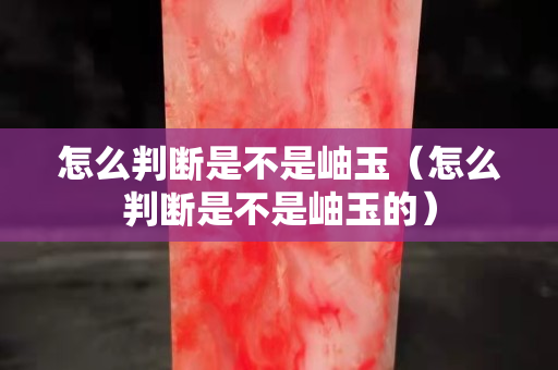 怎么判斷是不是岫玉（怎么判斷是不是岫玉的）