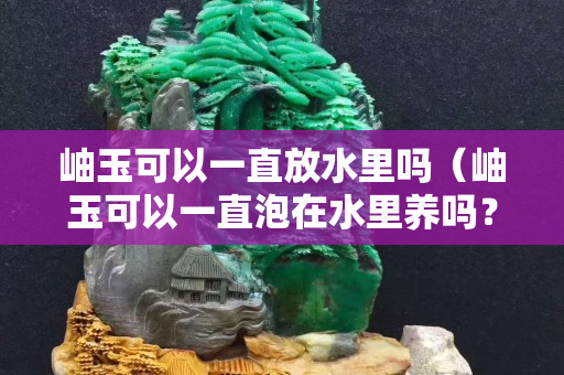 岫玉可以一直放水里嗎（岫玉可以一直泡在水里養嗎？）