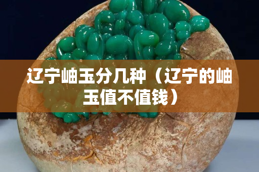 遼寧岫玉分幾種（遼寧的岫玉值不值錢）