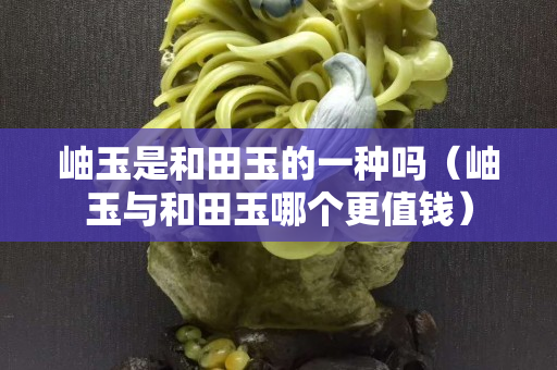 岫玉是和田玉的一種嗎（岫玉與和田玉哪個更值錢）