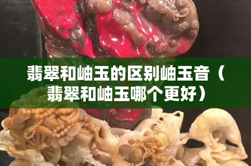 翡翠和岫玉的區別岫玉音（翡翠和岫玉哪個更好）