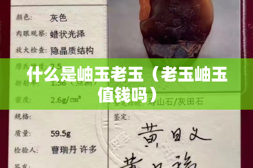 什么是岫玉老玉（老玉岫玉值錢嗎）