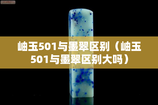 岫玉501與墨翠區別（岫玉501與墨翠區別大嗎）