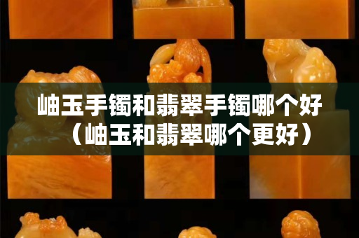 岫玉手鐲和翡翠手鐲哪個(gè)好（岫玉和翡翠哪個(gè)更好）