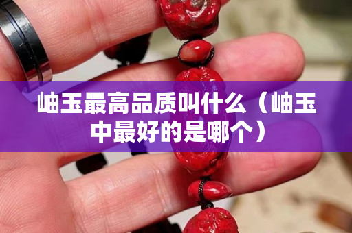 岫玉最高品質(zhì)叫什么（岫玉中最好的是哪個）