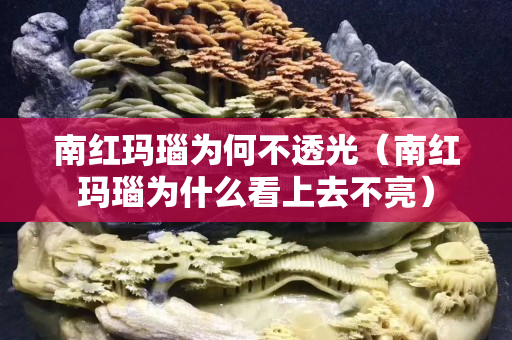 南紅瑪瑙為何不透光（南紅瑪瑙為什么看上去不亮）