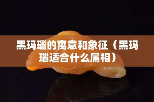黑瑪瑙的寓意和象征（黑瑪瑙適合什么屬相）