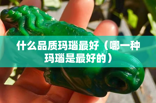什么品質(zhì)瑪瑙最好（哪一種瑪瑙是最好的）