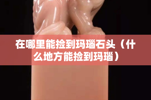 在哪里能撿到瑪瑙石頭（什么地方能撿到瑪瑙）