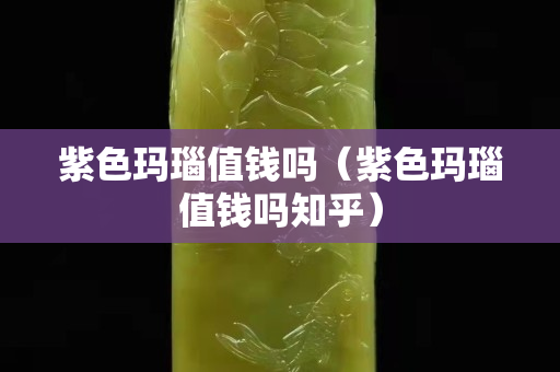 紫色瑪瑙值錢嗎（紫色瑪瑙值錢嗎知乎）