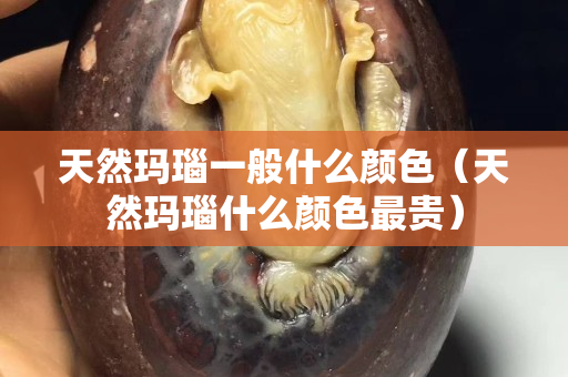 天然瑪瑙一般什么顏色（天然瑪瑙什么顏色最貴）