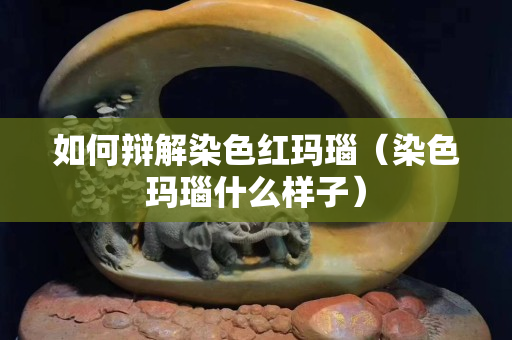 如何辯解染色紅瑪瑙（染色瑪瑙什么樣子）