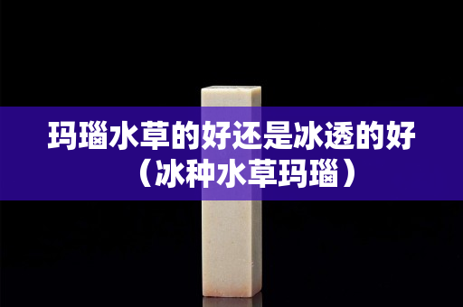 瑪瑙水草的好還是冰透的好（冰種水草瑪瑙）