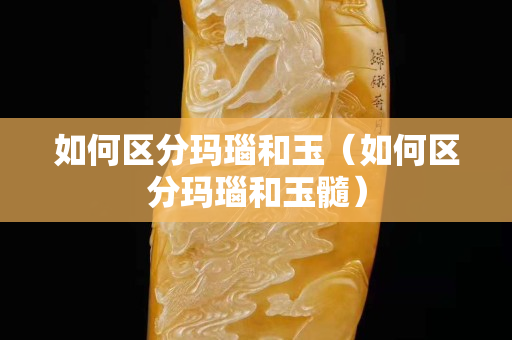 如何區分瑪瑙和玉（如何區分瑪瑙和玉髓）