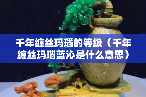千年纏絲瑪瑙的等級(jí)（千年纏絲瑪瑙藍(lán)沁是什么意思）