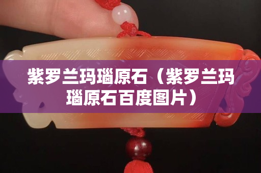 紫羅蘭瑪瑙原石（紫羅蘭瑪瑙原石百度圖片）