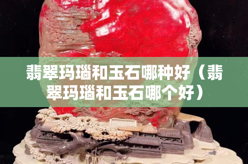 翡翠瑪瑙和玉石哪種好（翡翠瑪瑙和玉石哪個好）