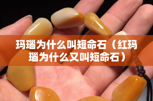 瑪瑙為什么叫短命石（紅瑪瑙為什么又叫短命石）