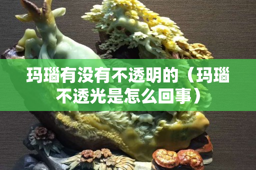 瑪瑙有沒有不透明的（瑪瑙不透光是怎么回事）