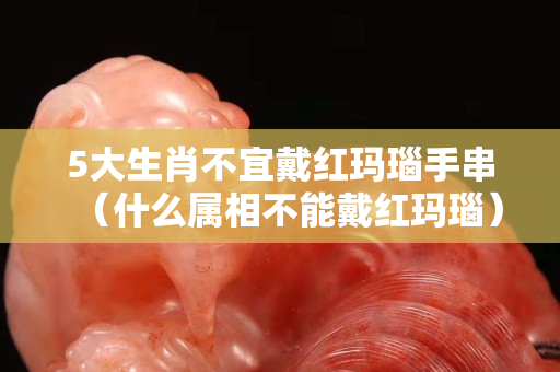 5大生肖不宜戴紅瑪瑙手串（什么屬相不能戴紅瑪瑙）