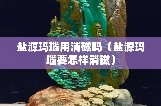鹽源瑪瑙用消磁嗎（鹽源瑪瑙要怎樣消磁）