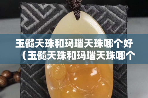 玉髓天珠和瑪瑙天珠哪個(gè)好（玉髓天珠和瑪瑙天珠哪個(gè)好一些）