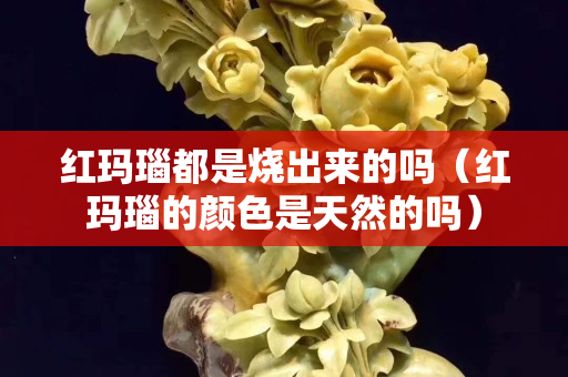 紅瑪瑙都是燒出來的嗎（紅瑪瑙的顏色是天然的嗎）