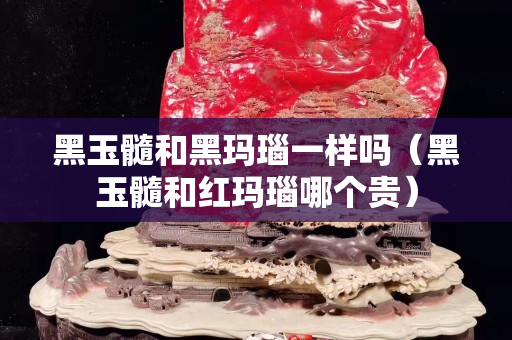 黑玉髓和黑瑪瑙一樣嗎（黑玉髓和紅瑪瑙哪個貴）