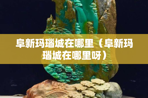 阜新瑪瑙城在哪里（阜新瑪瑙城在哪里呀）