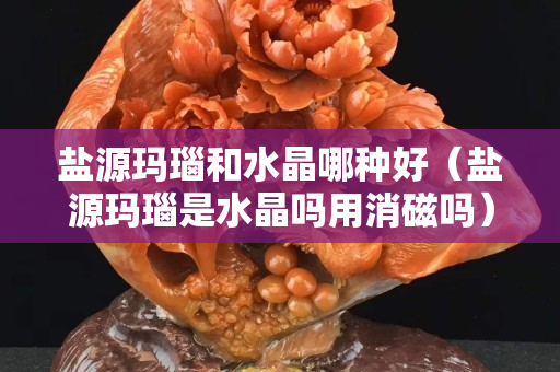鹽源瑪瑙和水晶哪種好（鹽源瑪瑙是水晶嗎用消磁嗎）